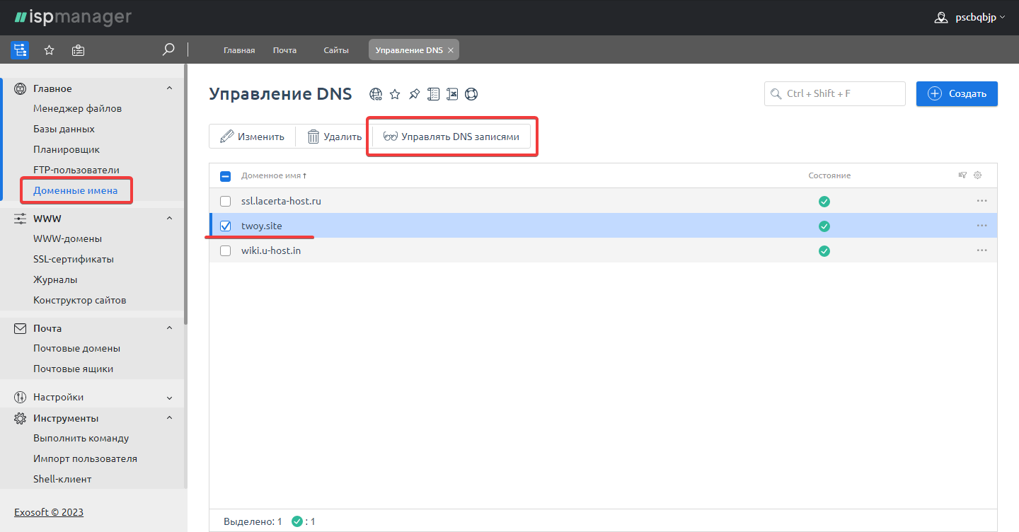 Управление DNS-записями в ISPmanager