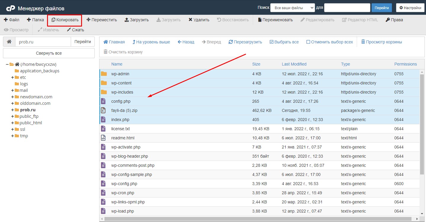 Копирование файлов в Cpanel