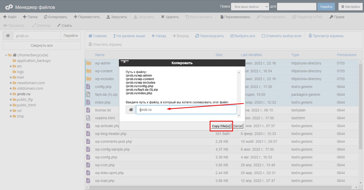 Копирование файлов в Cpanel